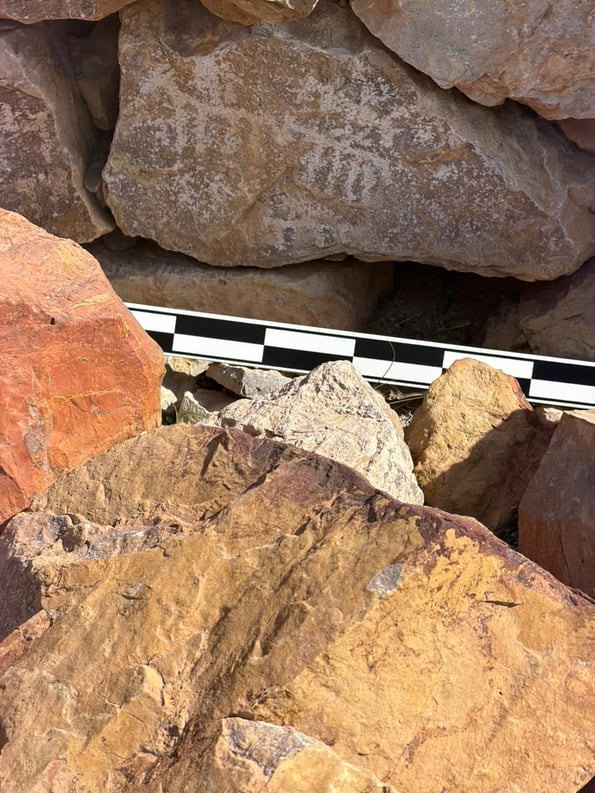 Figure3